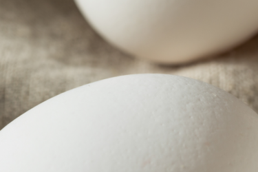 raw-organic-white-eggs-7UQ8Z3X